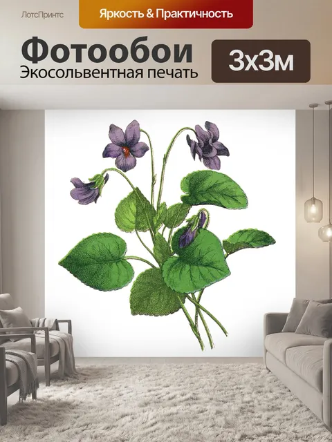 Фотообои Цветы клипарт графический рисунок