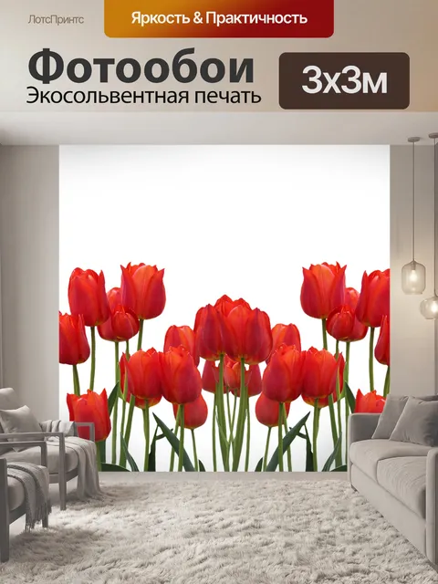 Фотообои Тюльпаны