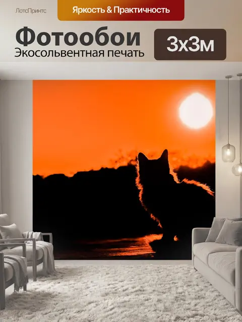 Фотообои Заход солнца