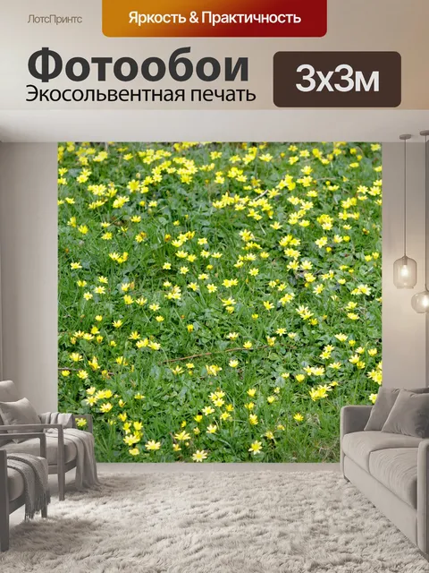 Фотообои Лютик Луговые цветы