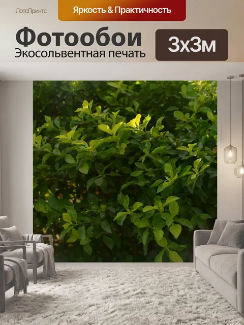 Фотообои Дерево