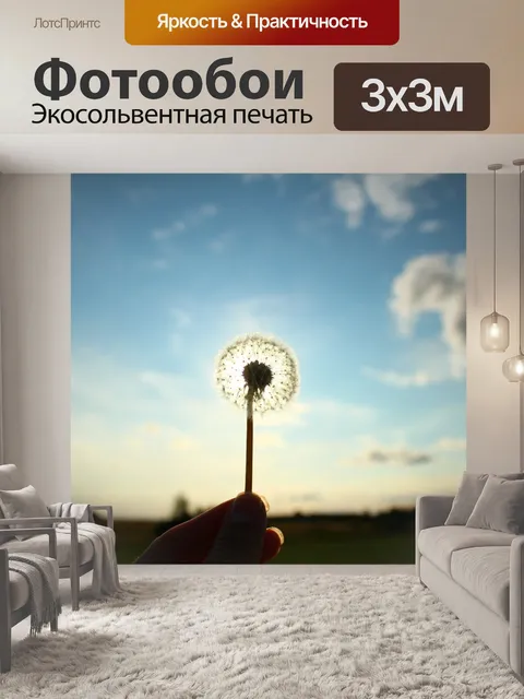 Фотообои Одуванчик цветок небо облака