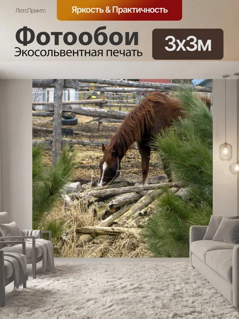 Фотообои Соседа лошадь (2)
