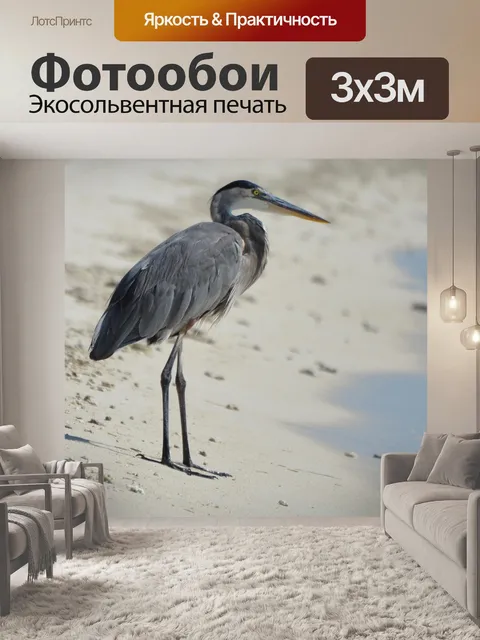 Фотообои Цапля