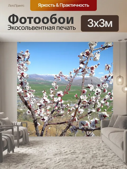 Фотообои Цветы