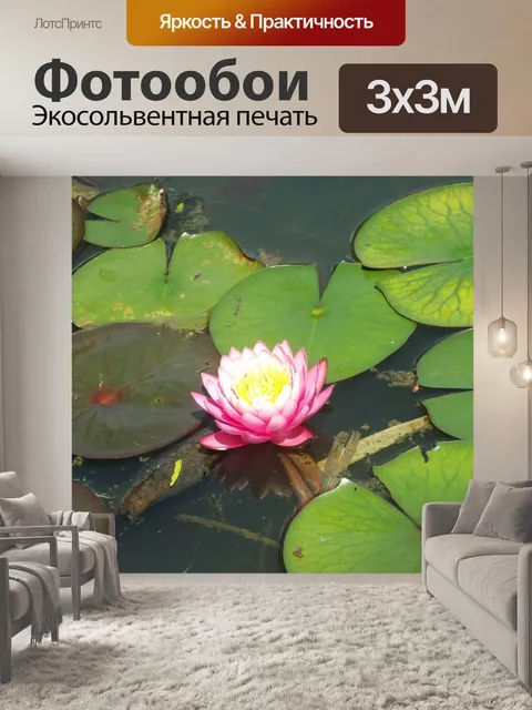 Фотообои Цветок