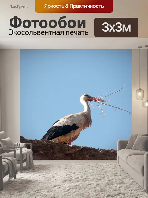 Фотообои Аист