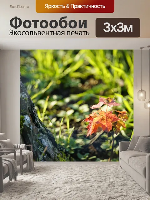 Фотообои Дерево