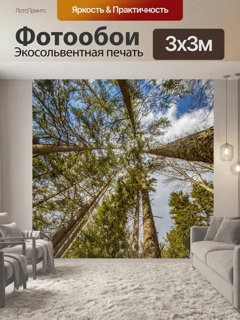 Фотообои Лес