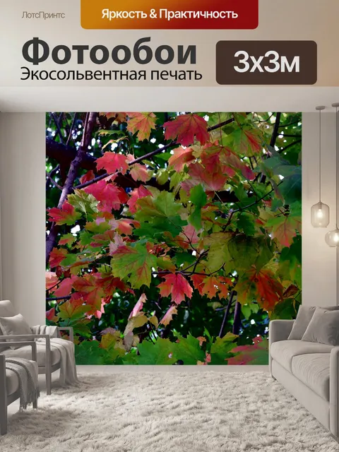 Фотообои Осень