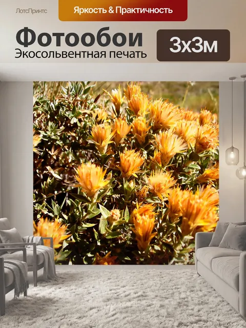 Фотообои Цветы