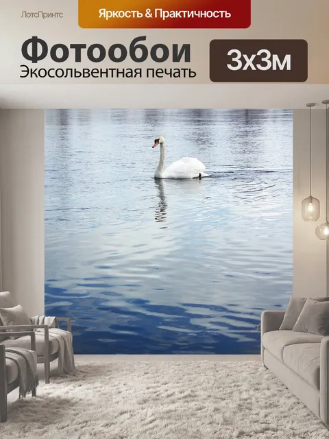 Фотообои Лебедь-шипун