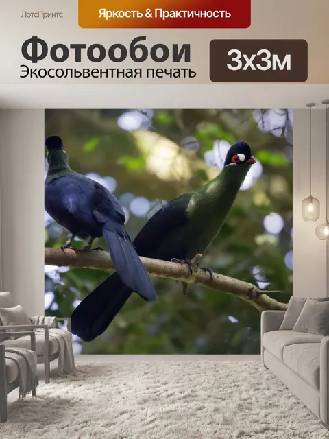 Фотообои Нисна