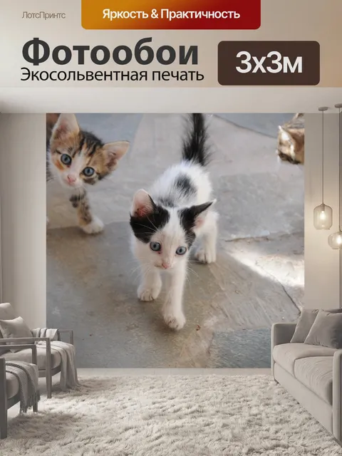 Фотообои Кошки