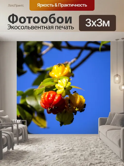 Фотообои Вишня