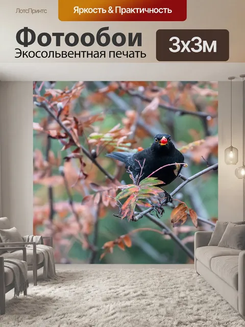 Фотообои Птица