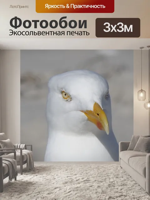 Фотообои Птица