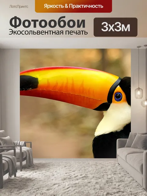 Фотообои Тукан