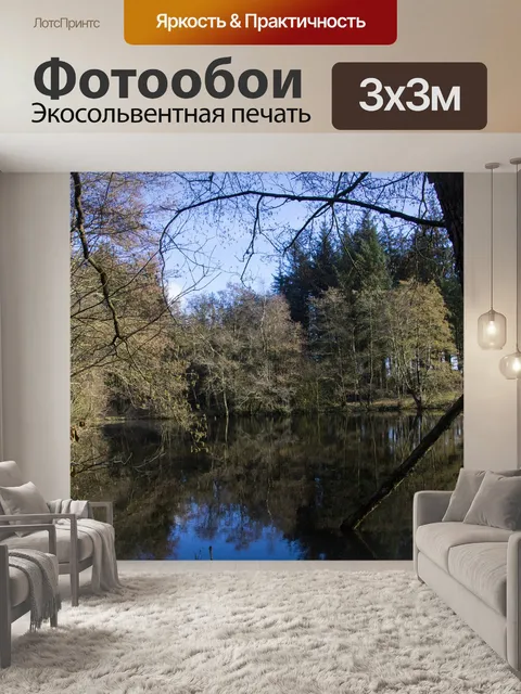 Фотообои Деревья