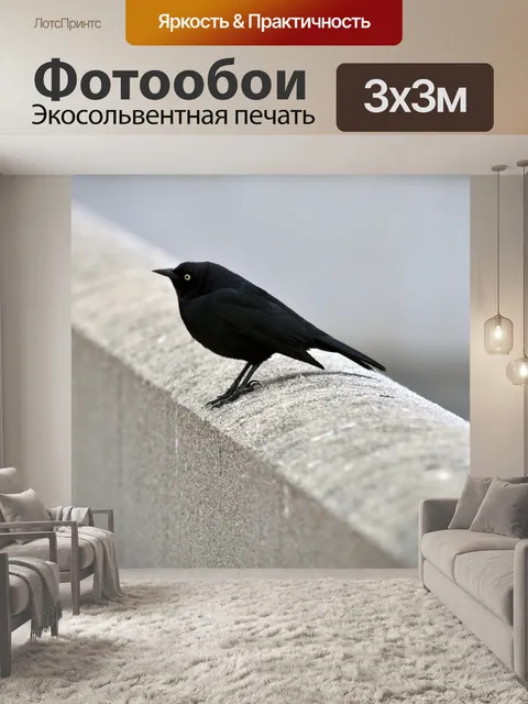 Фотообои Black Bird на белой стене