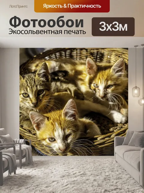 Фотообои Кошки