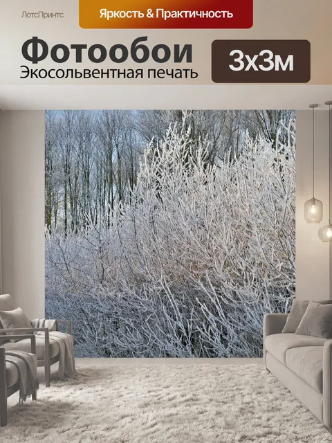 Фотообои Зима