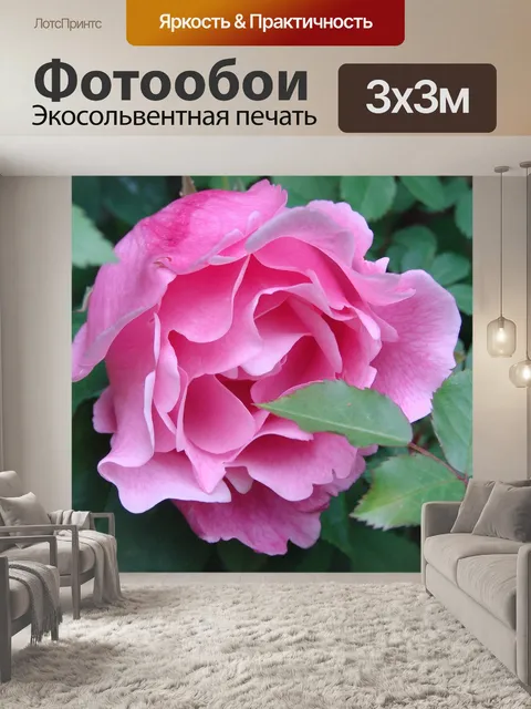 Фотообои Розы