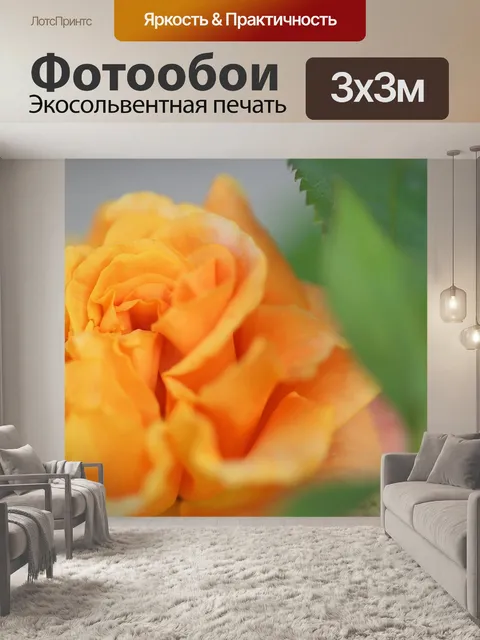 Фотообои Желтый золотой медалью роза