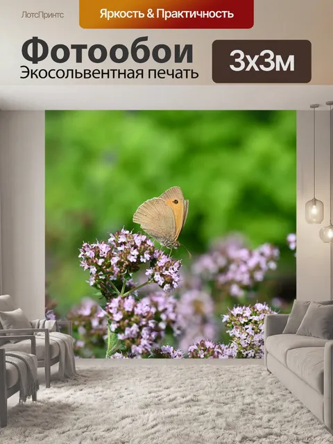 Фотообои Бабочка
