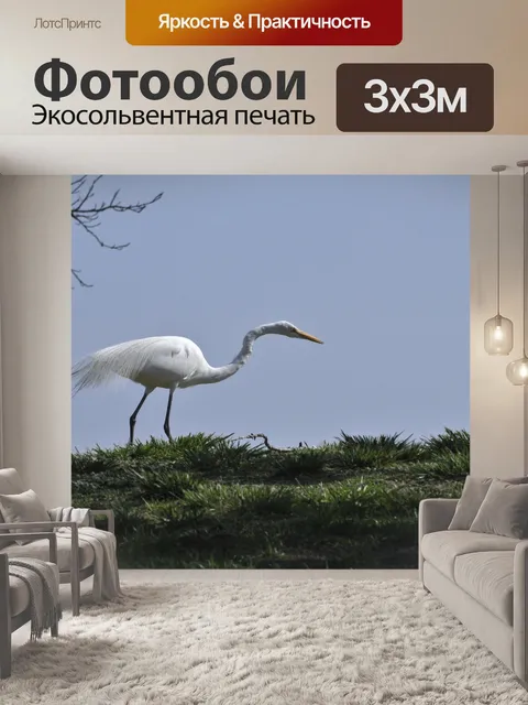 Фотообои Белая цапля