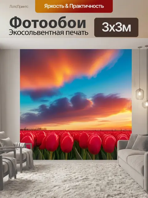 Фотообои закатное небо и тюльпаны грация