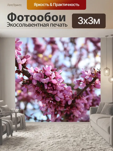 Фотообои Цветы