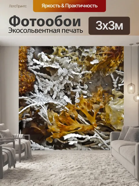Фотообои Красочные морские растения