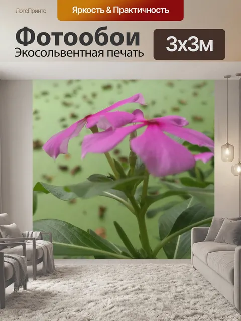 Фотообои Цветок