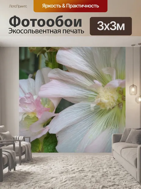 Фотообои Мальва