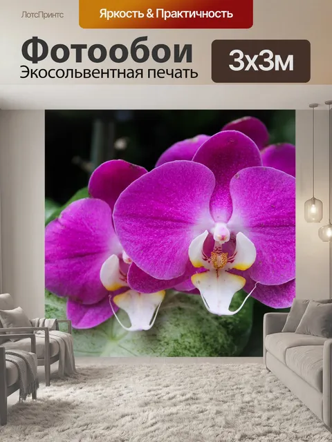 Фотообои Цветы