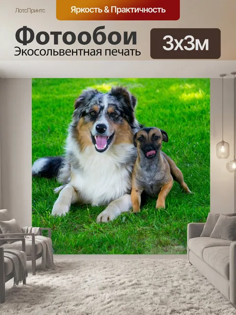 Фотообои Собаки