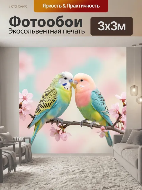 Фотообои Два волнистых попугая на ветке