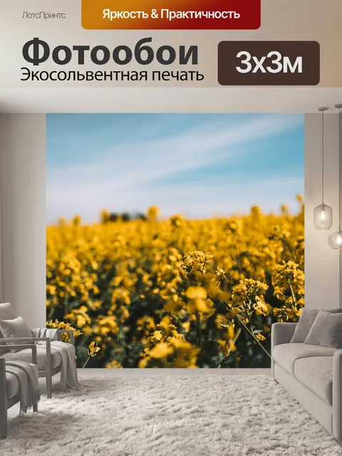 Фотообои Поля