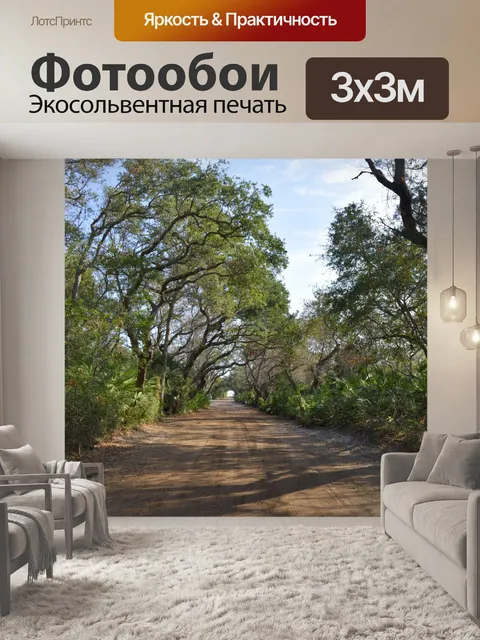 Фотообои Грязная дорога