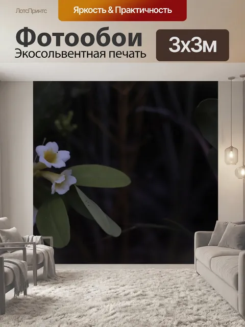 Фотообои Цветок
