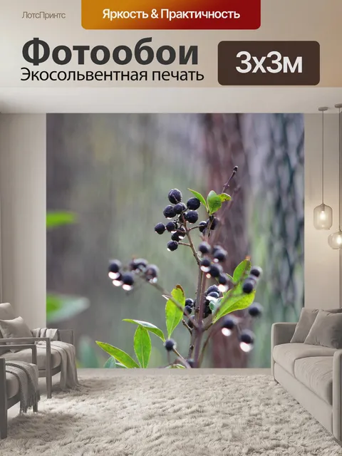 Фотообои Ягоды