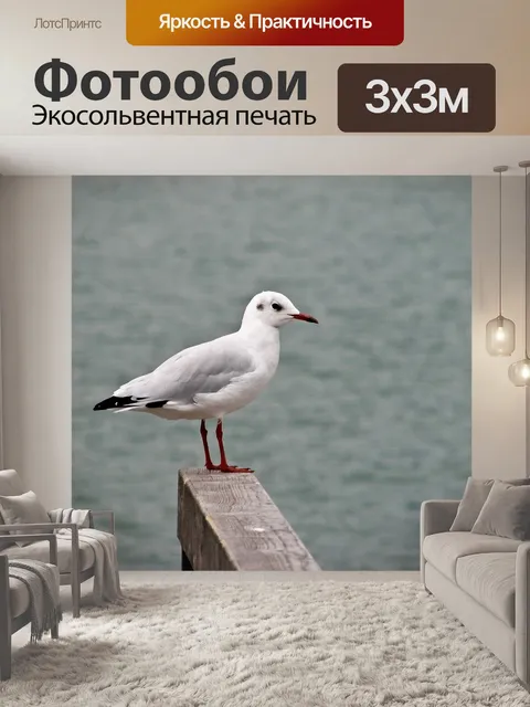 Фотообои Птица