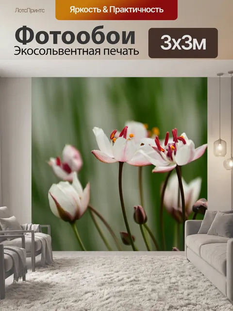 Фотообои Цветы