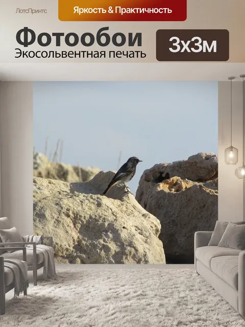 Фотообои Птица