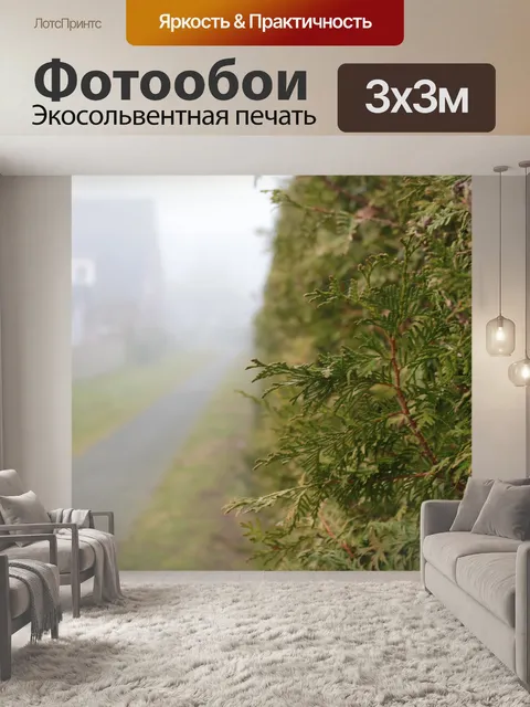 Фотообои Фон