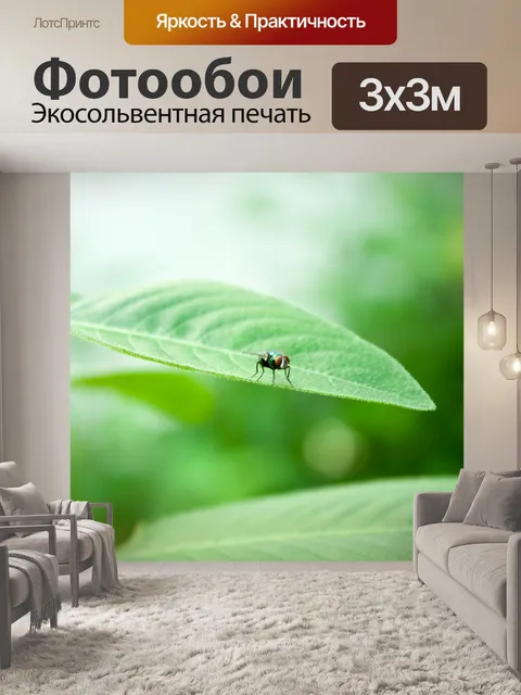 Фотообои Лист