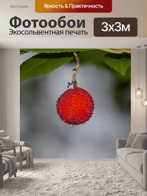 Фотообои Земляничное дерево