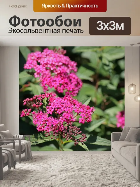 Фотообои брызги маленьких розовых цветов