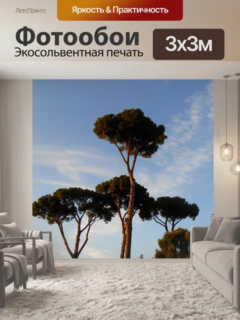 Фотообои Деревья в Риме